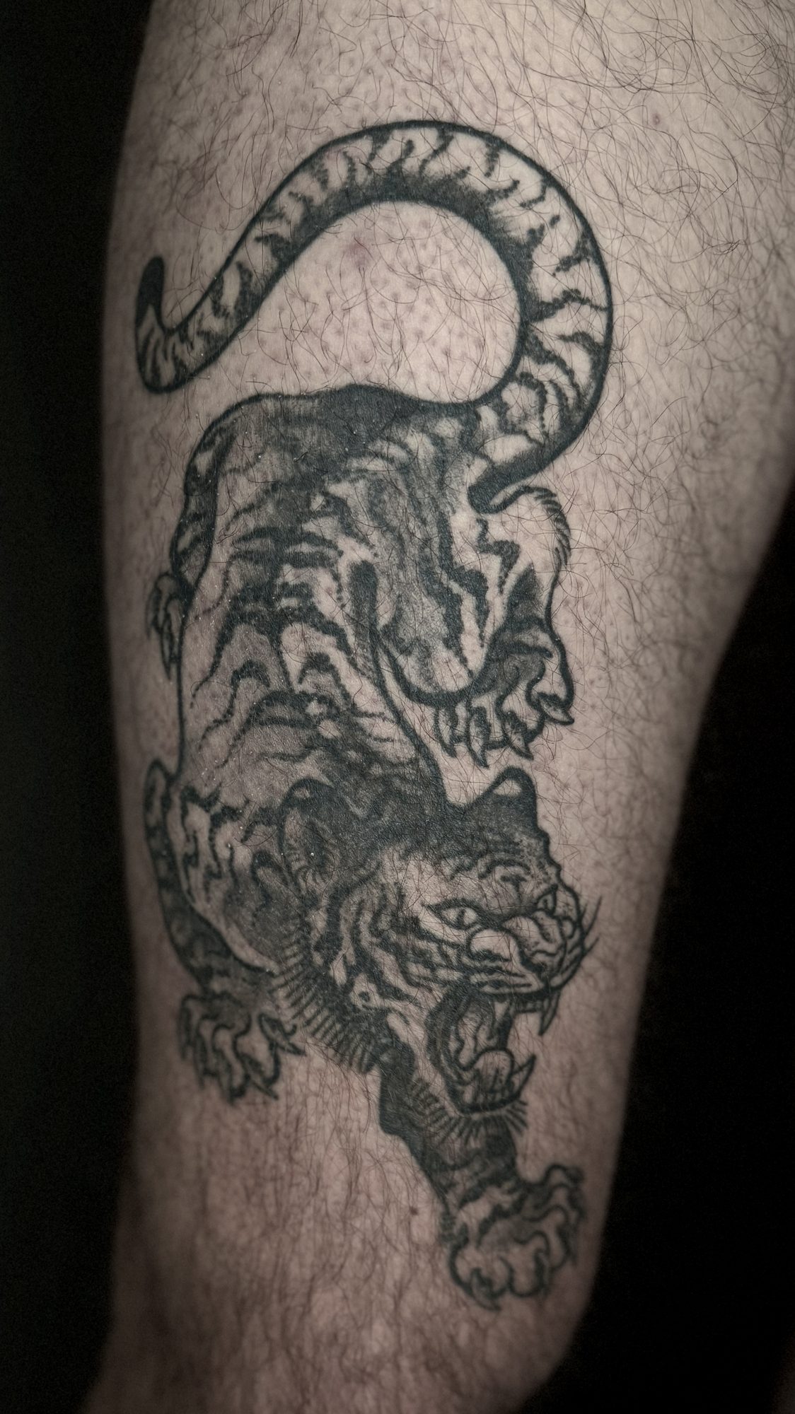 Schleichender Tiger am Oberschenkel, Blackwork Tattoo von Andre bei Eine Liebe Tätowiergeschäft in Bochum