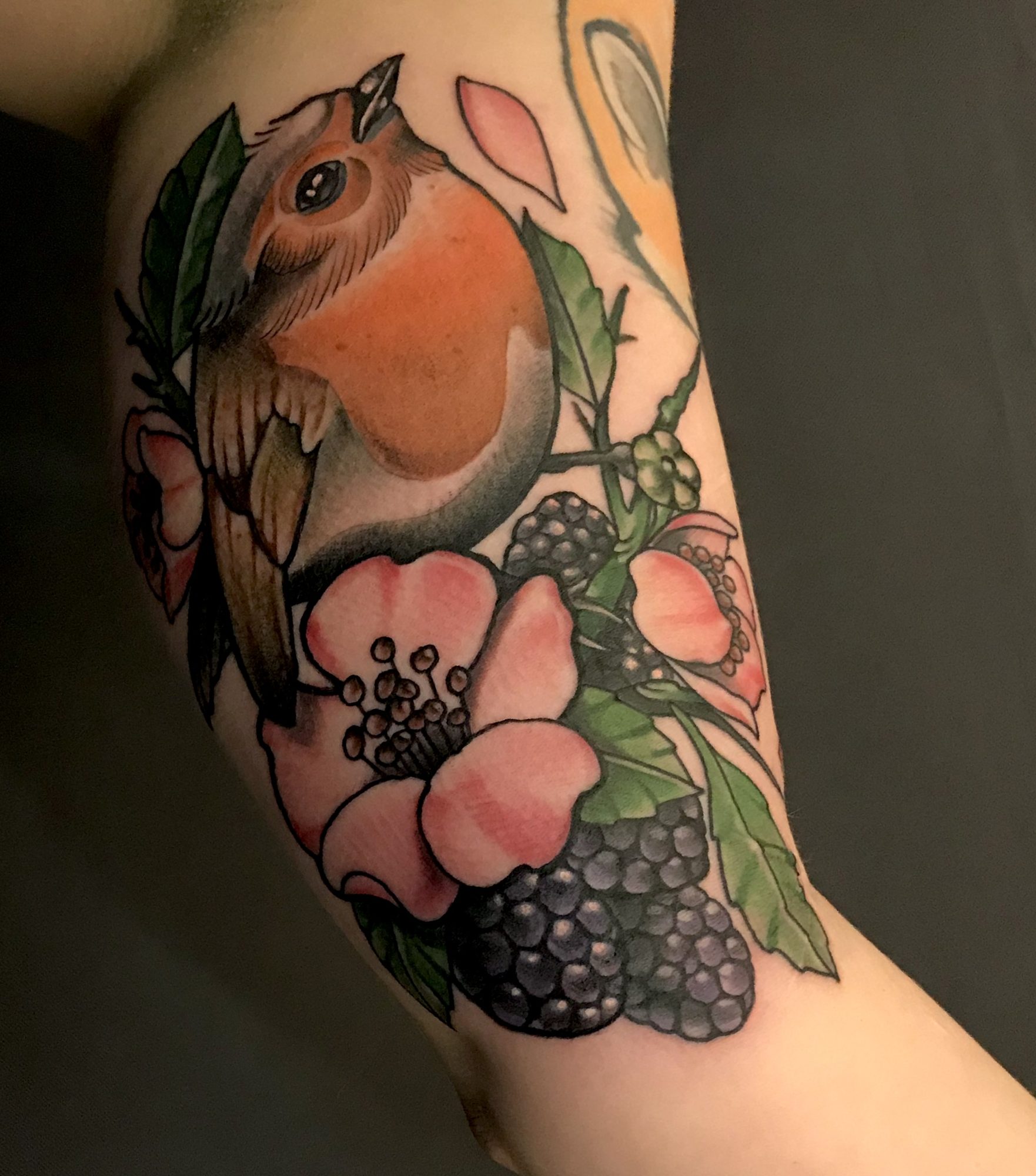 Rotkehlchen mit Brombeeren am Oberarm, Tier Tattoo von Andre bei Eine Liebe Tätowiergeschäft in Bochum