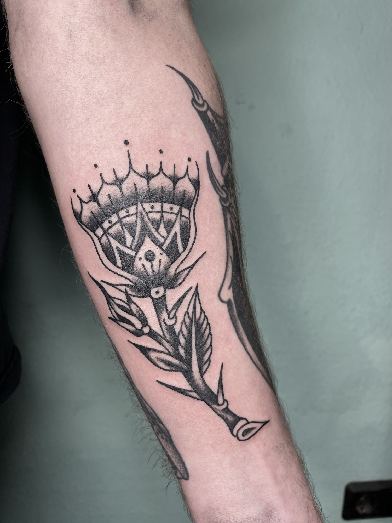 Distel am Unterarm, Blackwork Tattoo von Jill bei Eine Liebe Tätowiergeschäft in Bochum