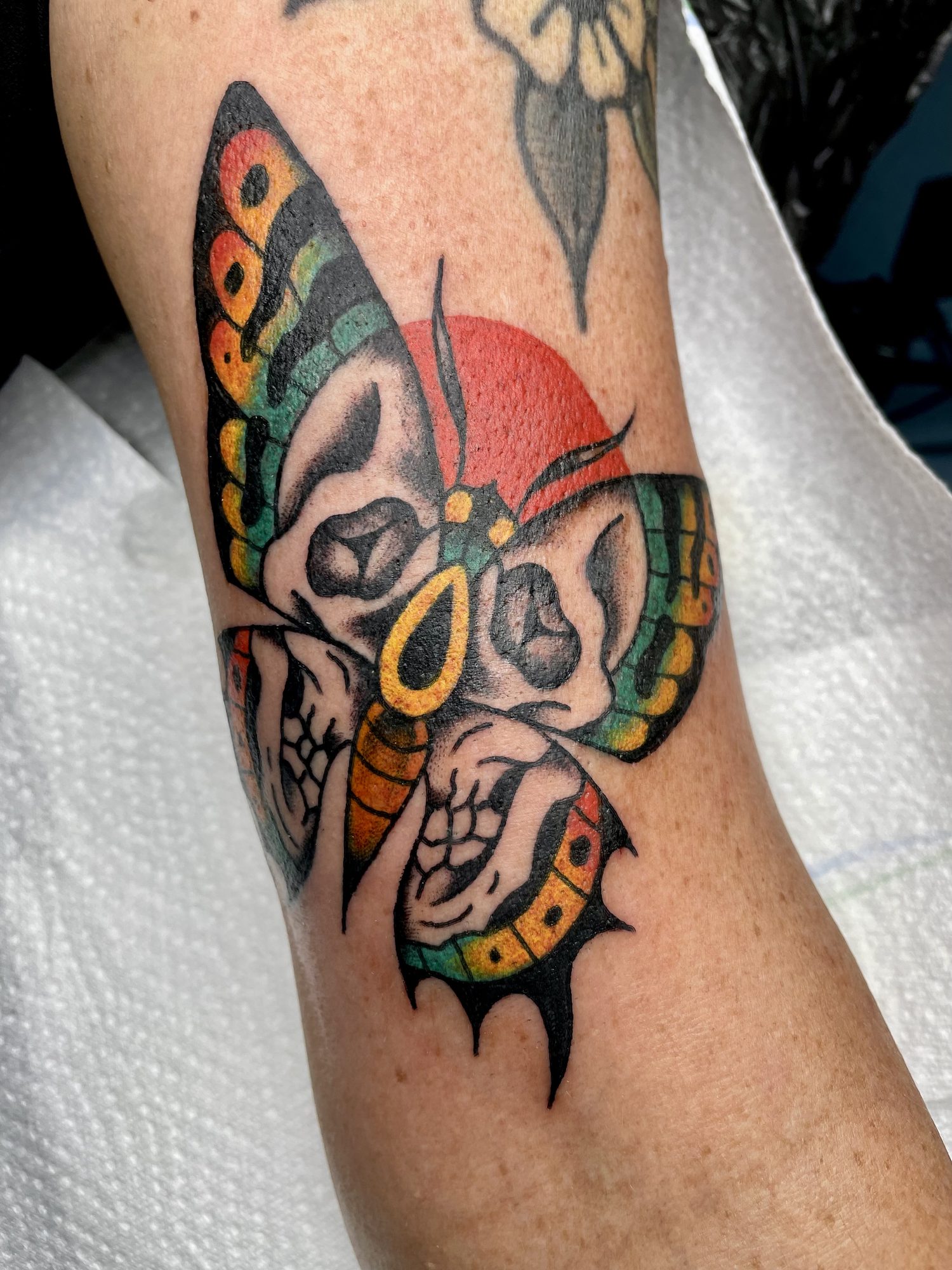 Motte mit Totenkopf am Unterarm, Traditional Tattoo von Jill bei Eine Liebe Tätowiergeschäft in Bochum