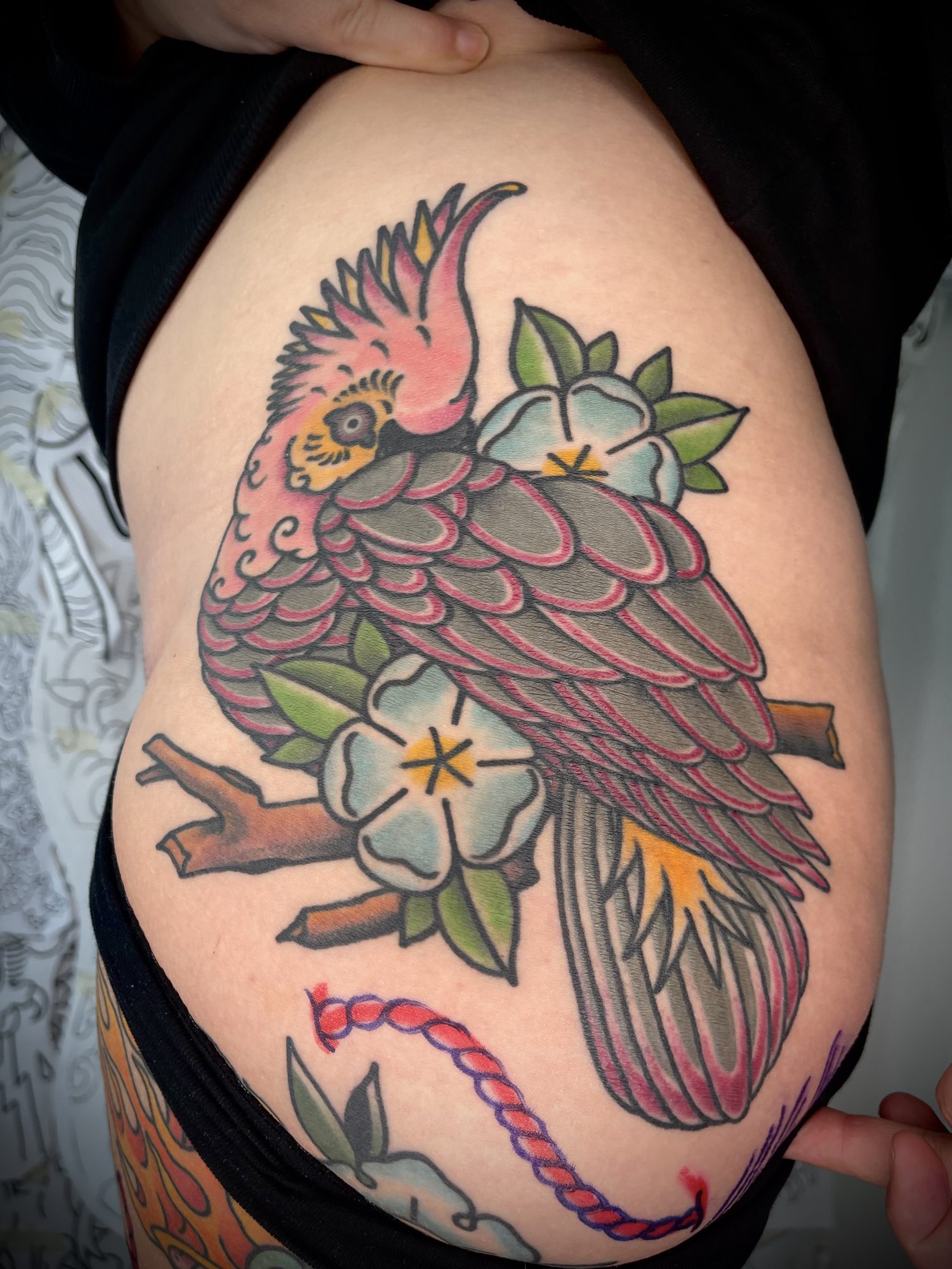 Kakadu am Oberschenkel, Tier Tattoo von Salle bei Eine Liebe Tätowiergeschäft in Bochum