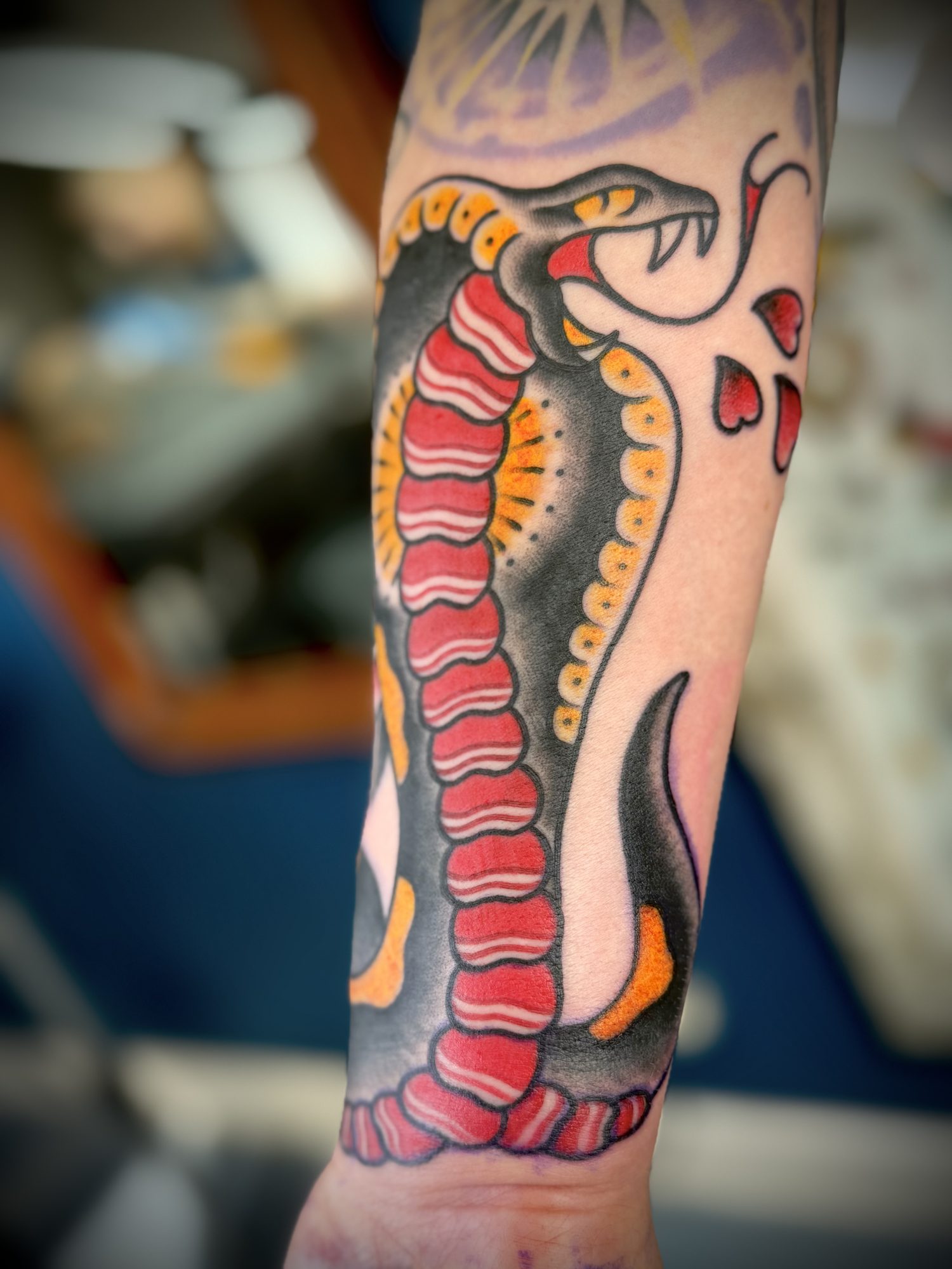 Kobra am Unterarm, Traditional Tattoo von Salle bei Eine Liebe Tätowiergeschäft in Bochum